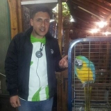 Carmelo Cisco