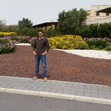 Walter Pergolizzi