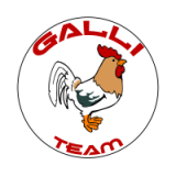 Galli Team
